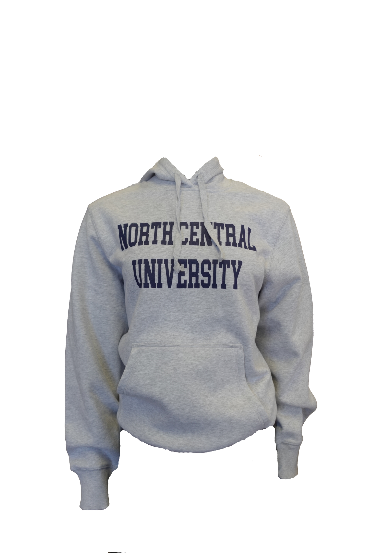 Basic North Central Hoodie (Gray)